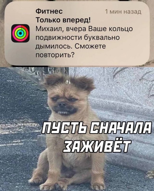 Лучшие шутки и мемы из Сети - 17.07.2025