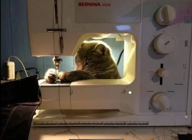 Целый день сегодня шью и одела всю семью