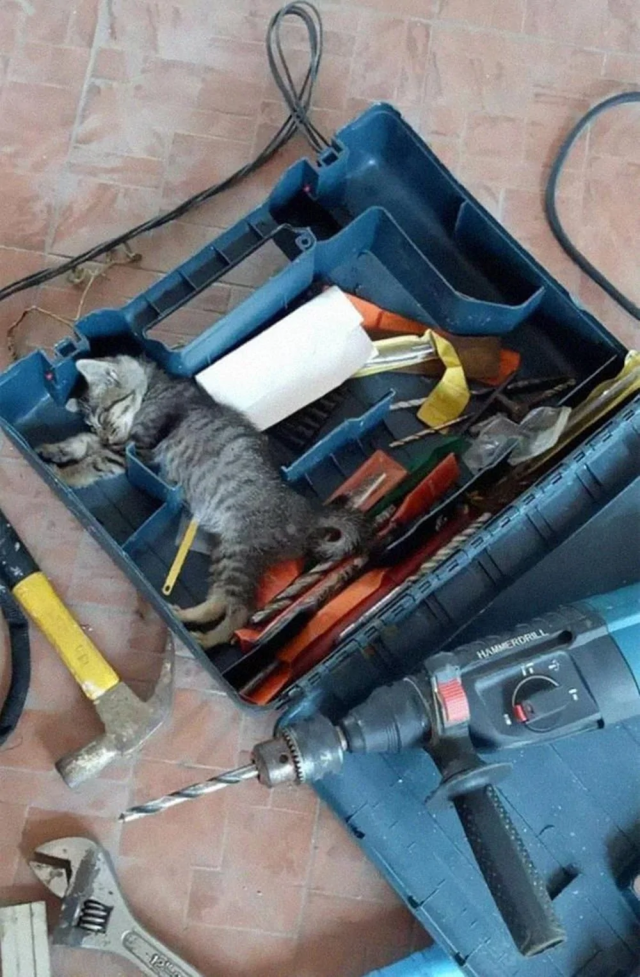 Дневной сон стажёра