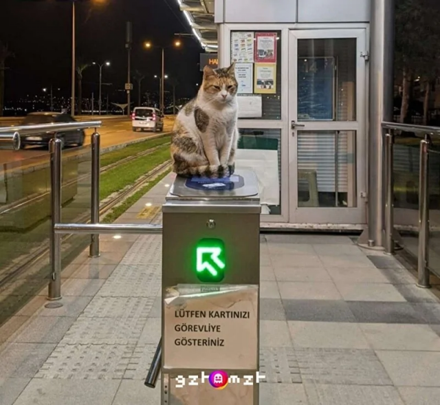 Не проходите мимо
