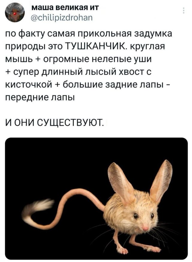 Подборка забавных твитов обо всем