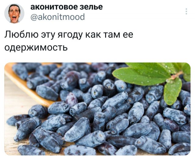 Подборка забавных твитов обо всем