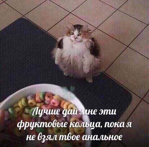 Смешные мемы - 18.07.2025