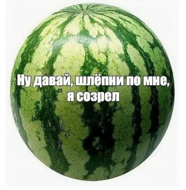 Смешные мемы - 18.07.2025