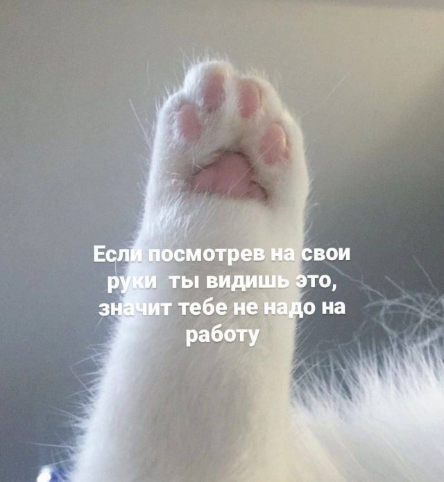 Смешные картинки - 18.07.2025