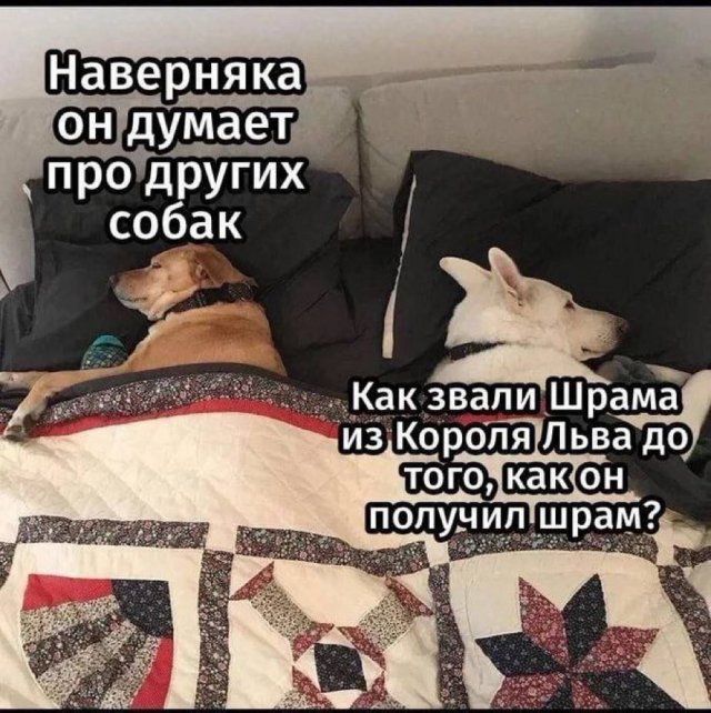 Смешные картинки - 18.07.2025