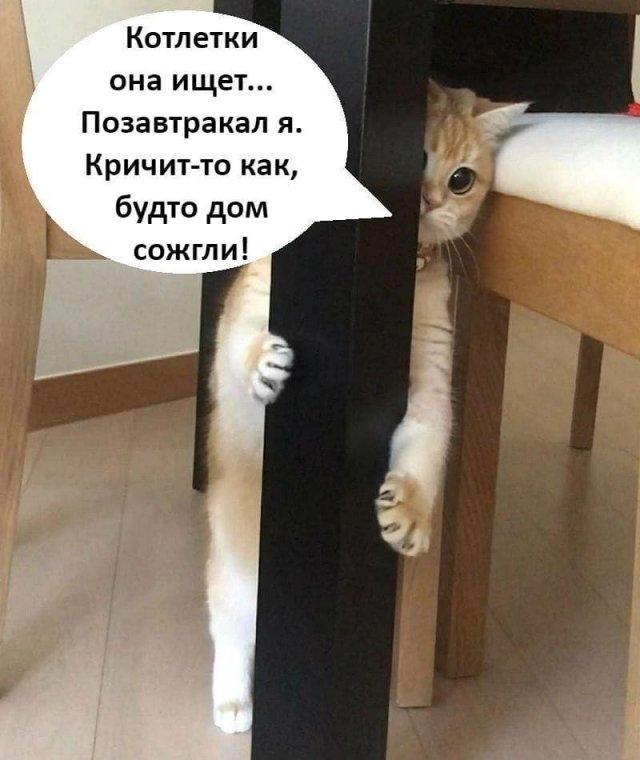 Лучшие шутки и мемы из Сети - 18.07.2025