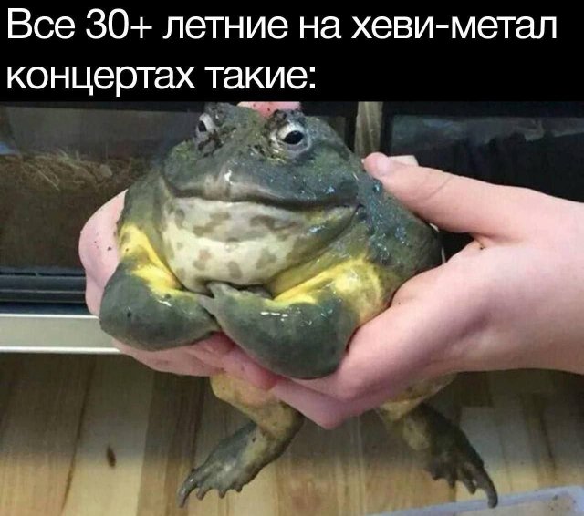 Лучшие шутки и мемы из Сети - 18.07.2025