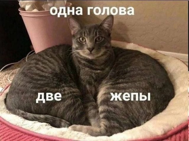 Смешные мемы - 21.07.2025