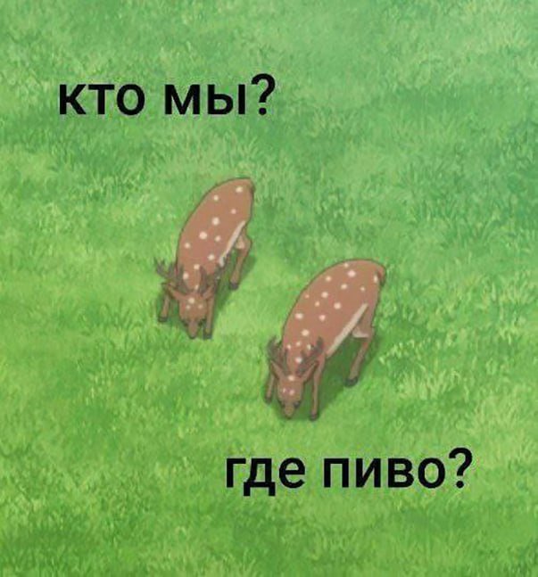 Смешные мемы - 21.07.2025