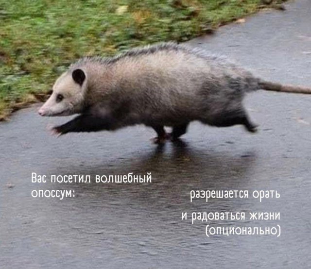 Смешные мемы - 21.07.2025