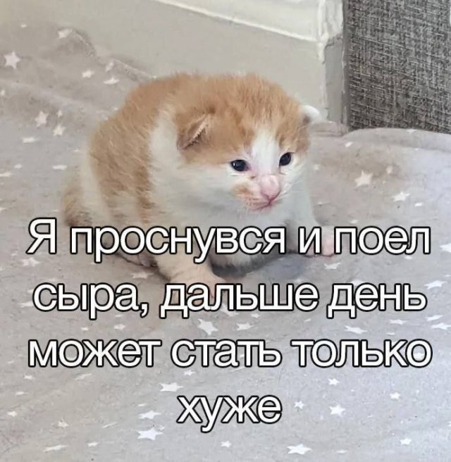 Смешные мемы - 21.07.2025