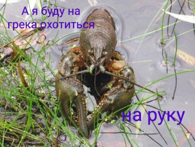 Смешные мемы - 21.07.2025