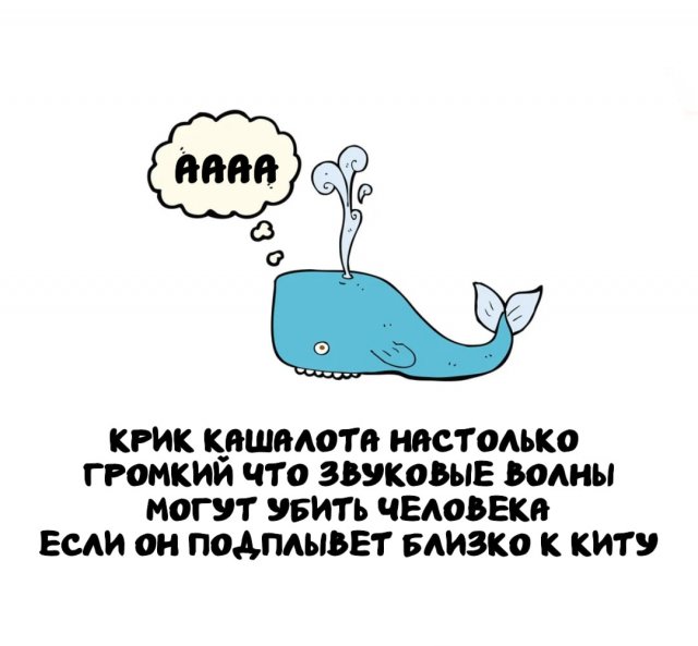 Интересные факты на все случаи жизни