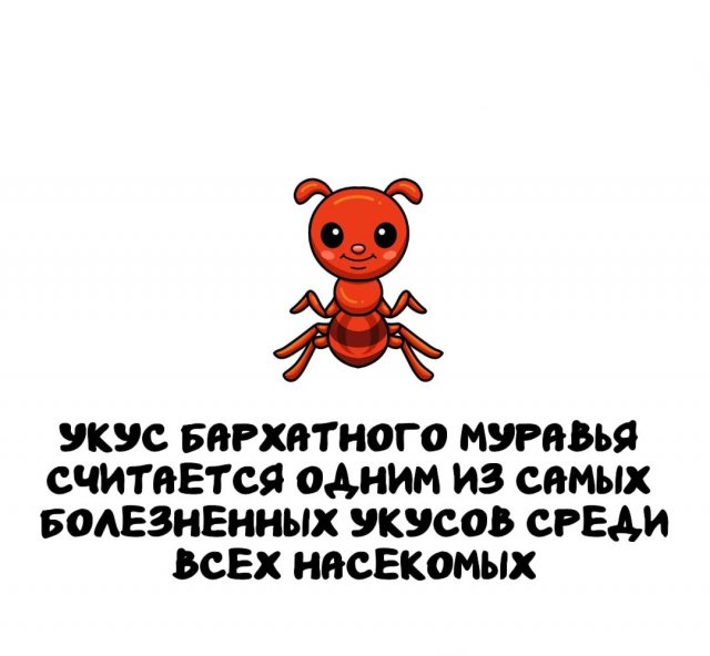 Интересные факты на все случаи жизни