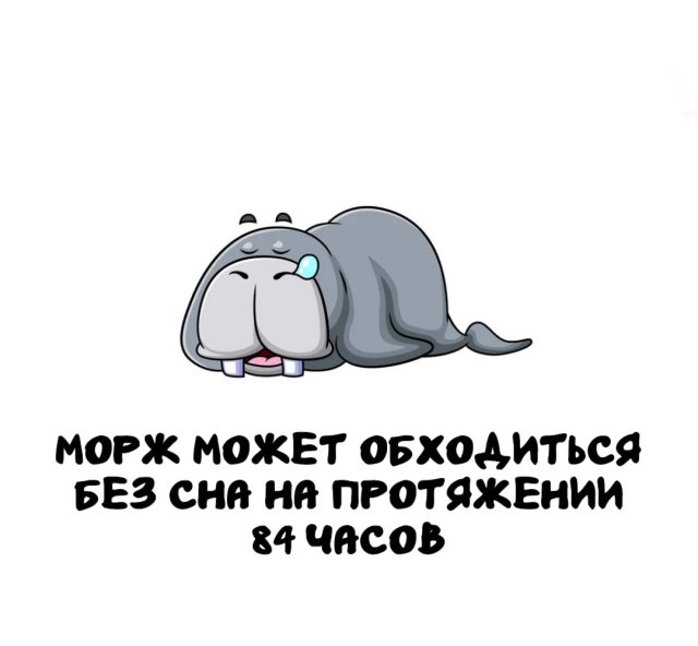 Интересные факты на все случаи жизни