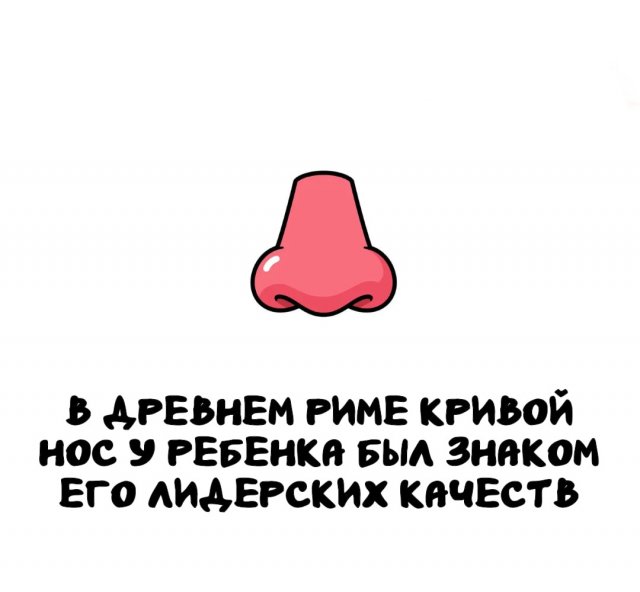 Интересные факты на все случаи жизни