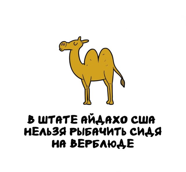 Интересные факты на все случаи жизни