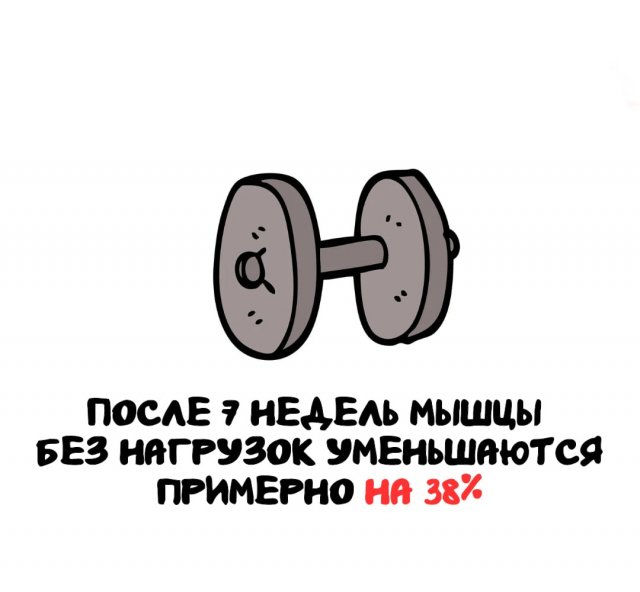 Интересные факты на все случаи жизни
