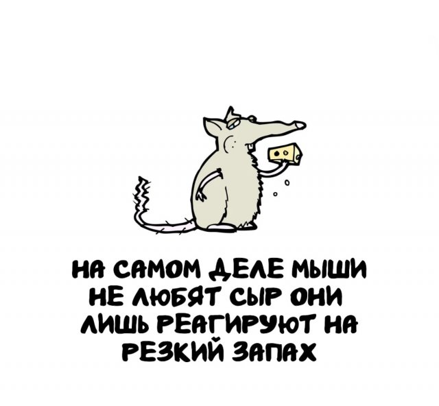 Интересные факты на все случаи жизни