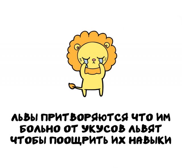 Интересные факты на все случаи жизни