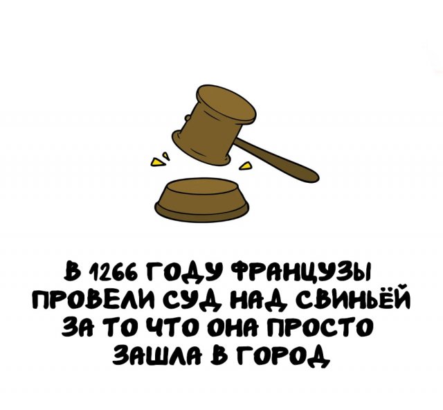 Интересные факты на все случаи жизни Интересные факты на все случаи жизни