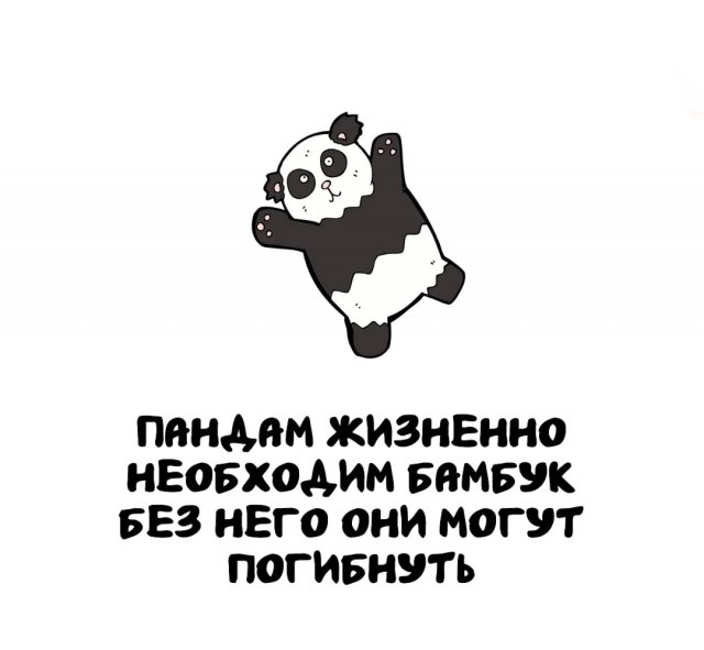 Интересные факты на все случаи жизни