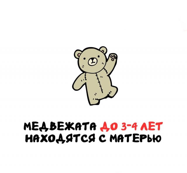 Интересные факты на все случаи жизни