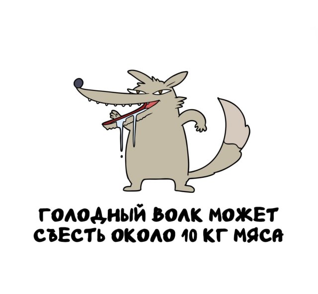 Интересные факты на все случаи жизни