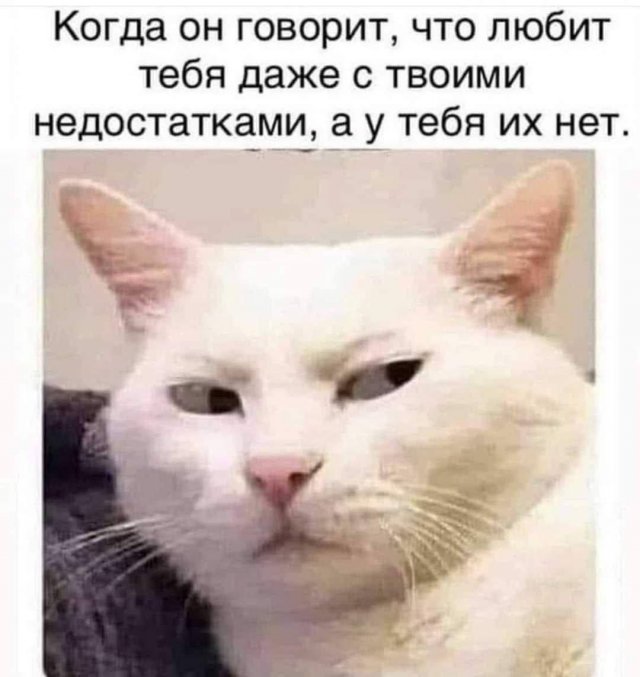 Лучшие шутки и мемы из Сети - 23.07.2025