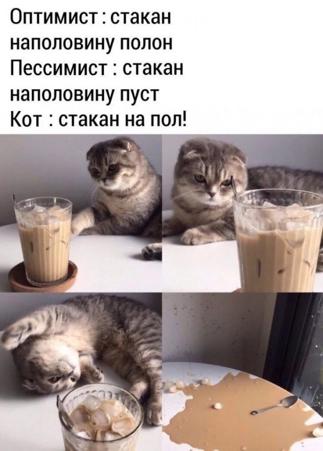 Лучшие шутки и мемы из Сети - 23.07.2025