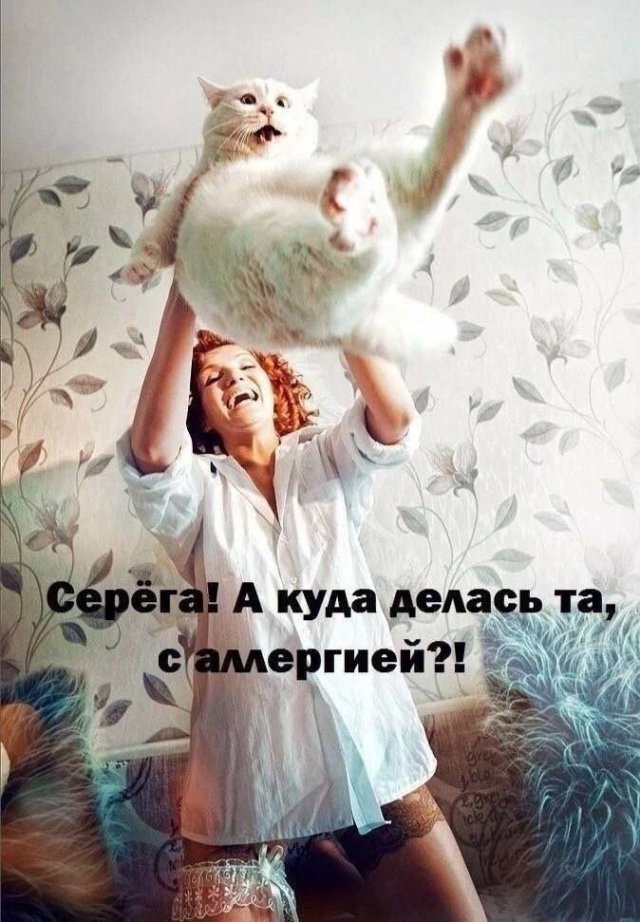 Лучшие шутки и мемы из Сети - 23.07.2025