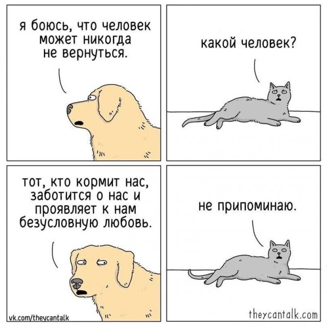 Лучшие шутки и мемы из Сети - 23.07.2025