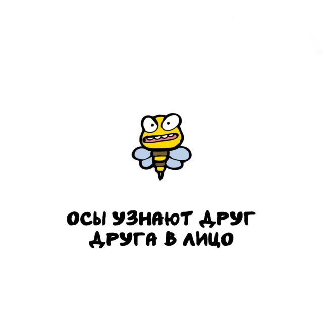 Интересные факты на все случаи жизни