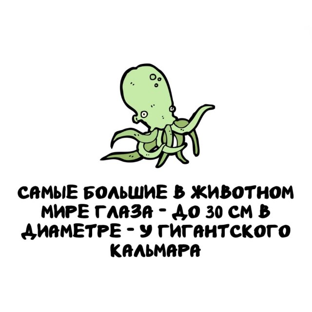 Интересные факты на все случаи жизни