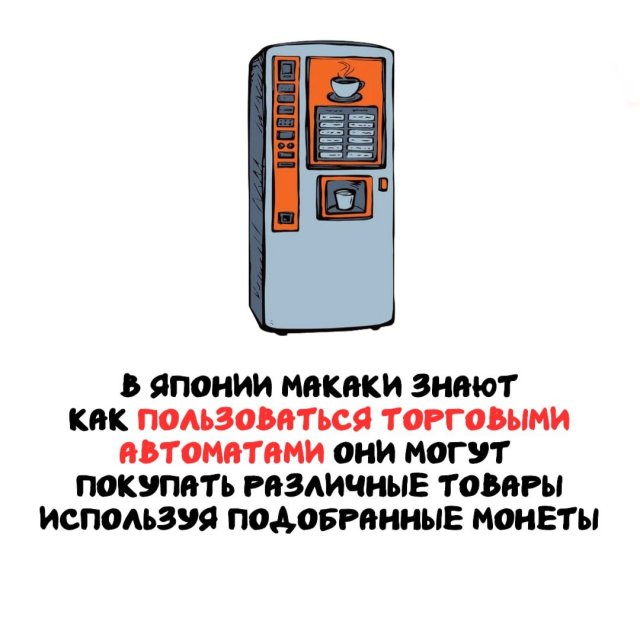 Интересные факты на все случаи жизни