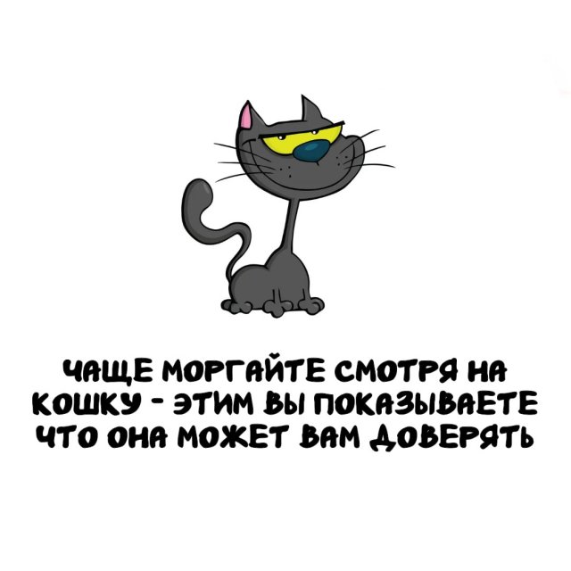 Интересные факты на все случаи жизни