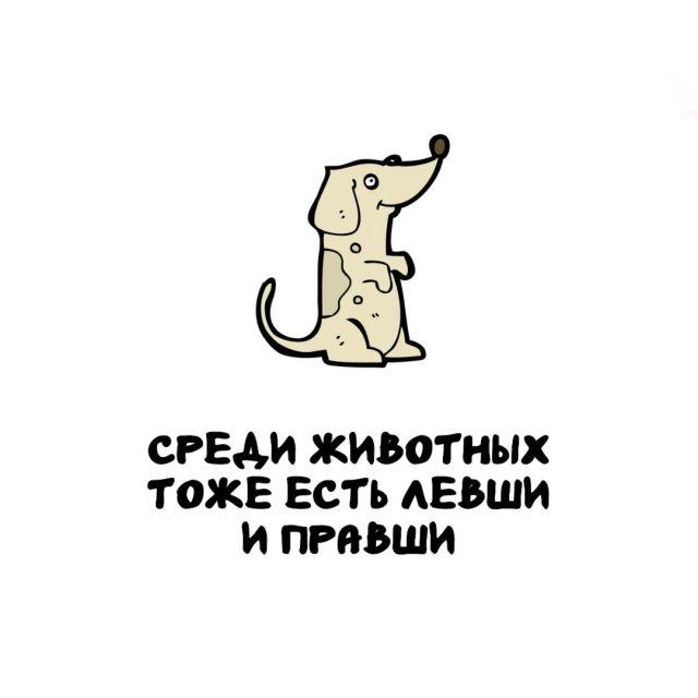 Интересные факты на все случаи жизни