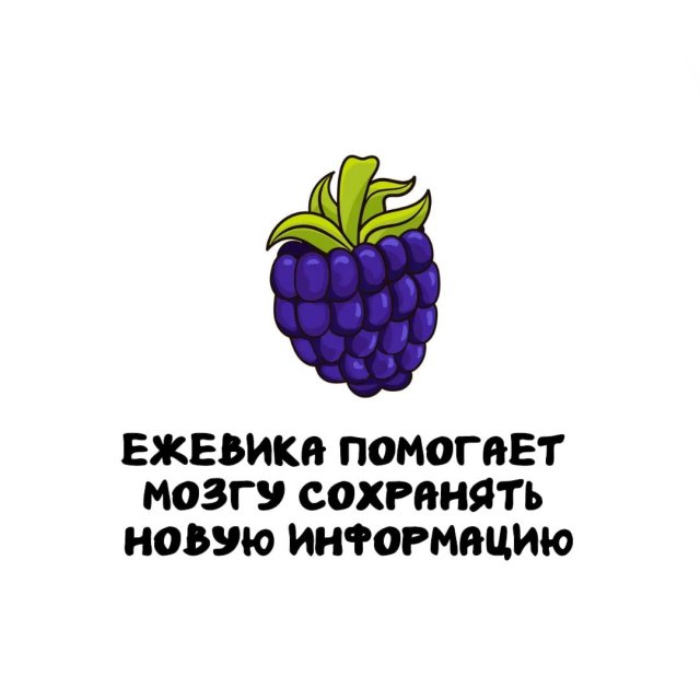 Интересные факты на все случаи жизни