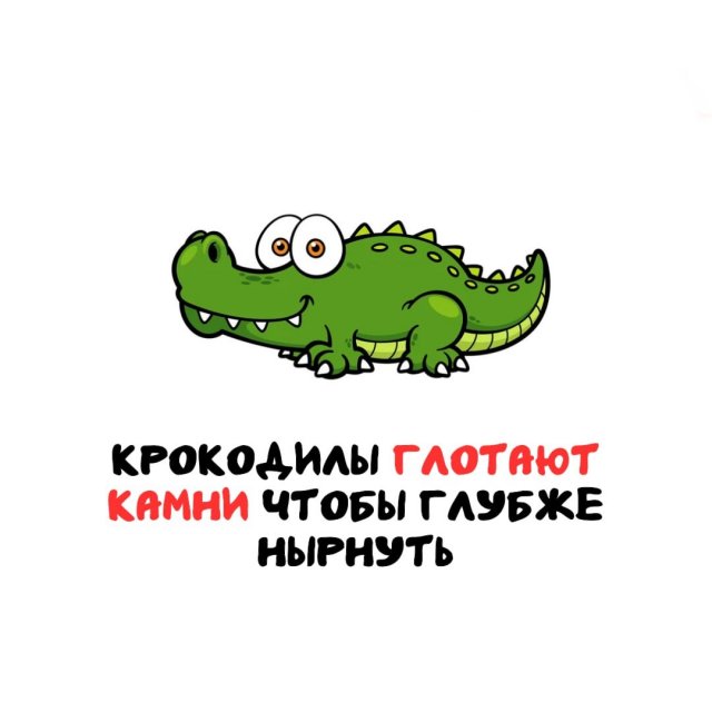 Интересные факты на все случаи жизни