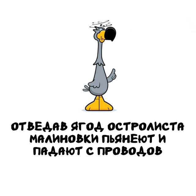 Интересные факты на все случаи жизни
