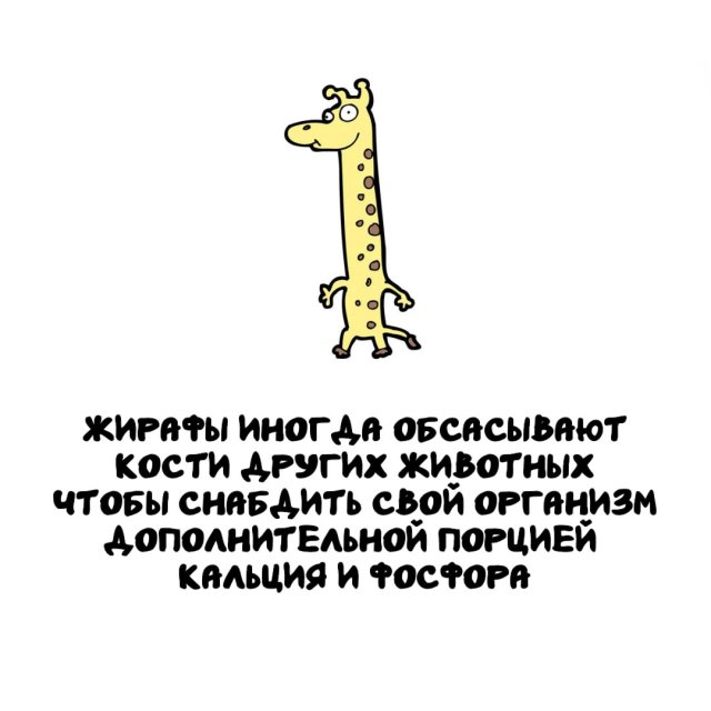 Интересные факты на все случаи жизни