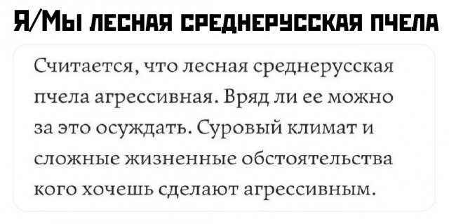 Подборка картинок. Вечерний выпуск - 24.07.2025