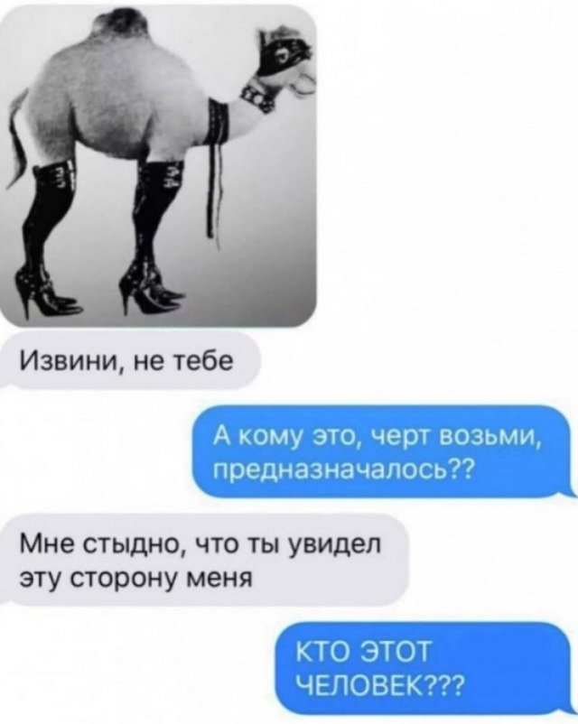 Лучшие шутки и мемы из Сети - 24.07.2025