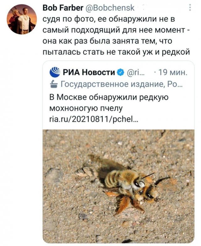 Лучшие шутки и мемы из Сети - 24.07.2025