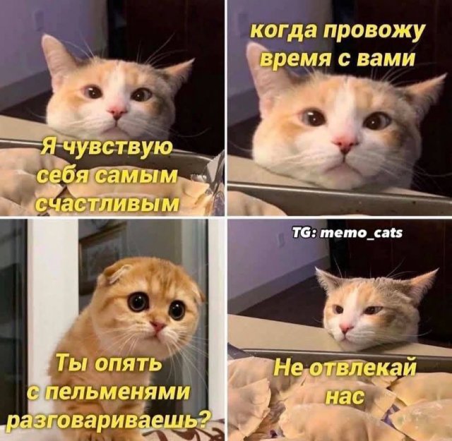 Лучшие шутки и мемы из Сети - 24.07.2025