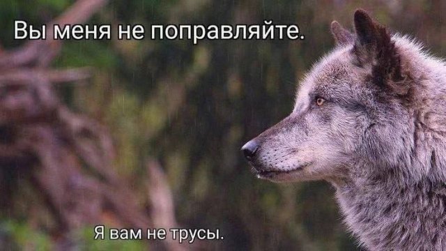 Смешные мемы - 25.07.2025