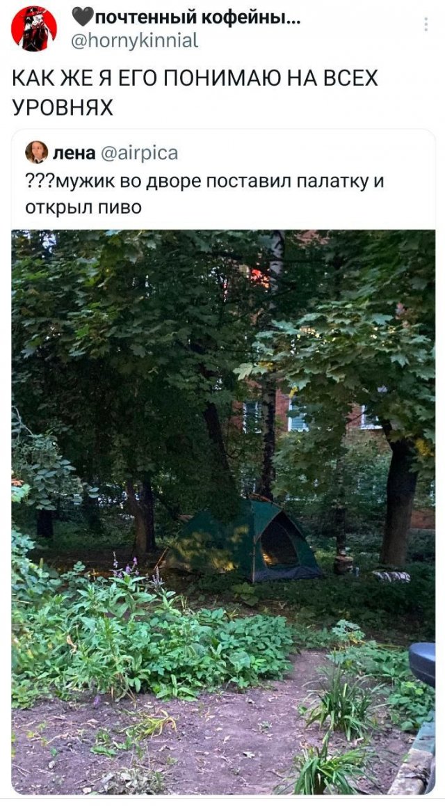 Подборка забавных твитов обо всем