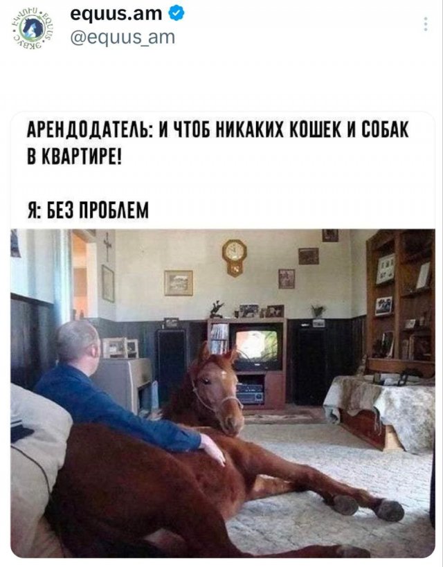 Подборка забавных твитов обо всем