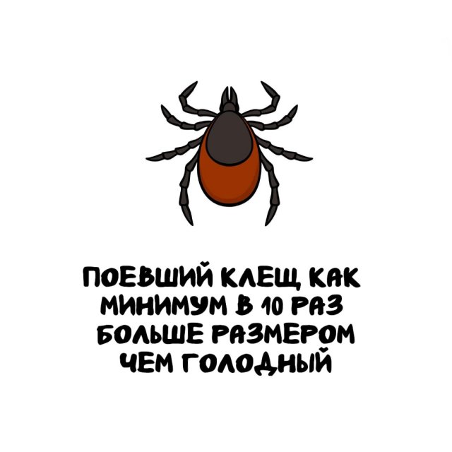 Интересные факты на все случаи жизни